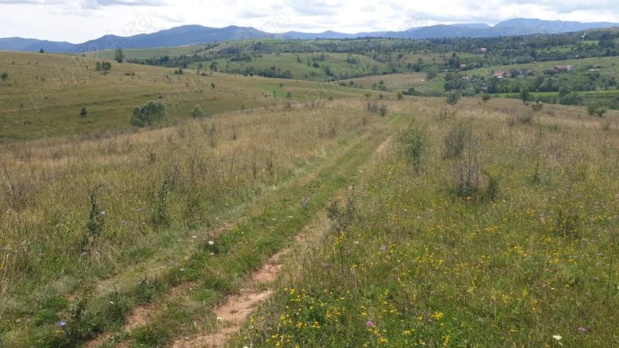 Teren de 500 mp, în Sălicea