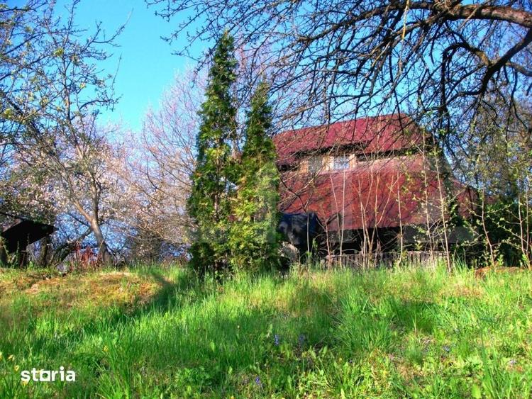 Teren de 14000 mp, în Mihai Viteazu