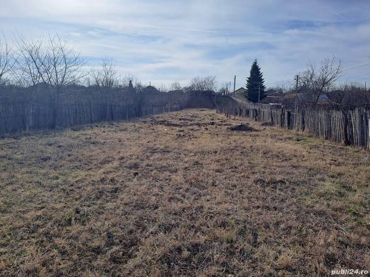Teren de 1988 mp, în Florești