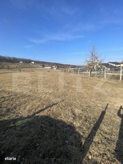 Teren intravilan de vanzare, 742 mp, zona Valea Rusului - 1