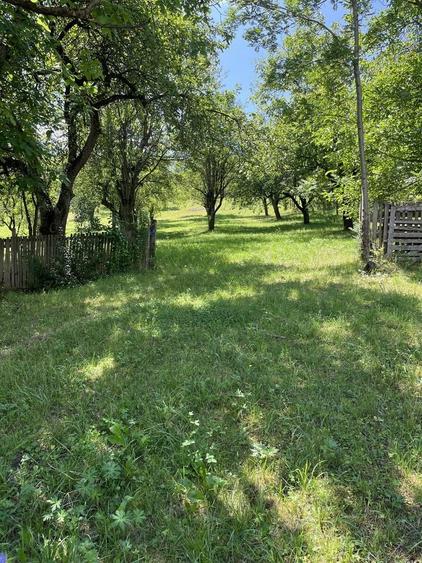 Casă cu 3 camere în Dumbrava