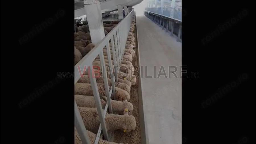 Spațiu comercial, de 25,000 mp, în Central