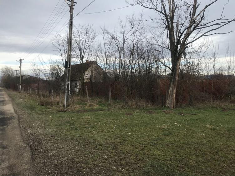 Teren Construcții intravilan de 3368 mp, în Bârsa
