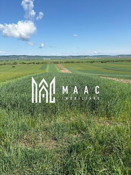 Teren agricol extravilan de 2393 mp, în Gura Râului
