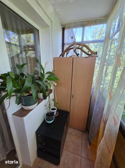 Apartament cu 2 camere Dambu Pietros - 18