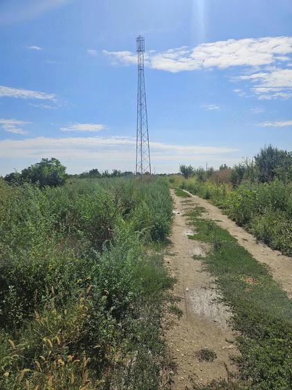 Teren de 3774 mp, în Copăceni