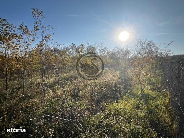 Teren de 12650 mp, în I. L. Caragiale