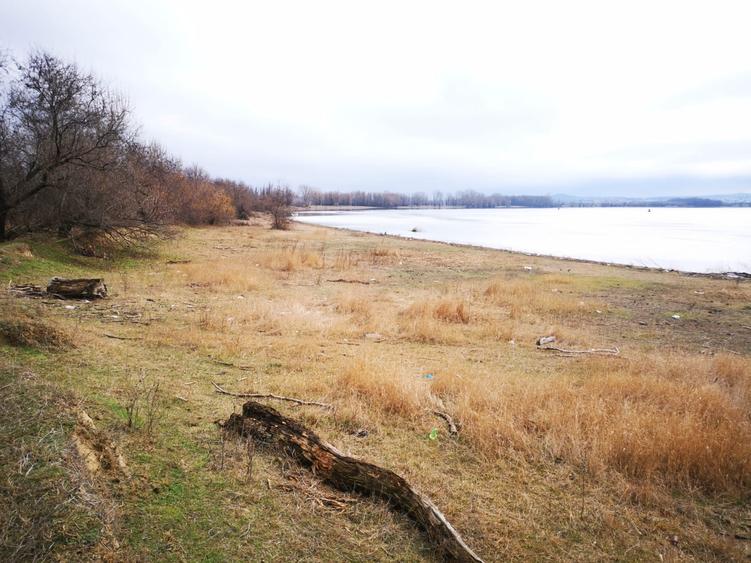 Teren agricol extravilan de 20000 mp, în Tudor Vladimirescu