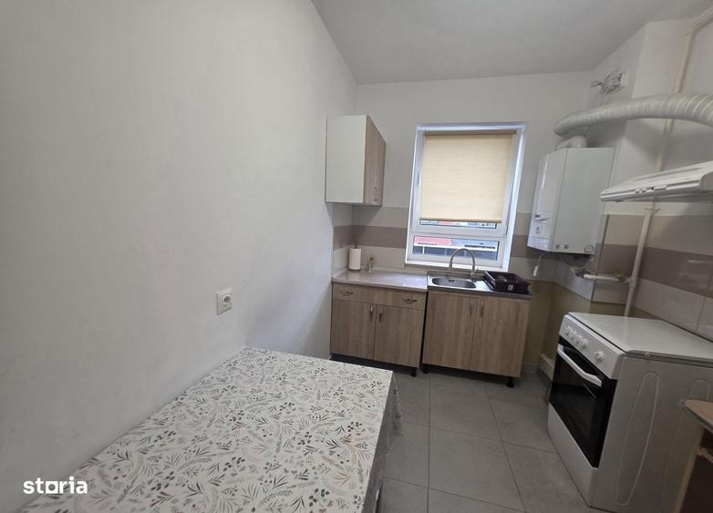 Inchiriez 2 camere plus dresing Avantgarden Bartolomeu Pet Friendly - 11