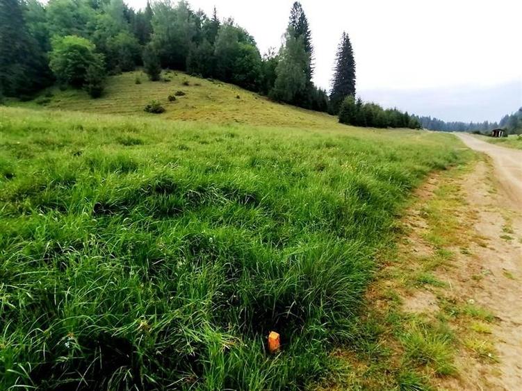 Teren Construcții intravilan de 2763 mp, în Poiana Brașov