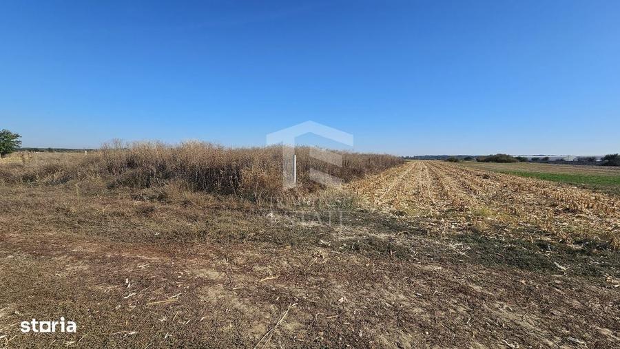 Spațiu comercial, în Copăceni