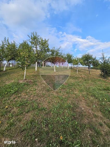 Casă cu 9 camere decomandat cu Teren 750 Mp în Rona de Jos