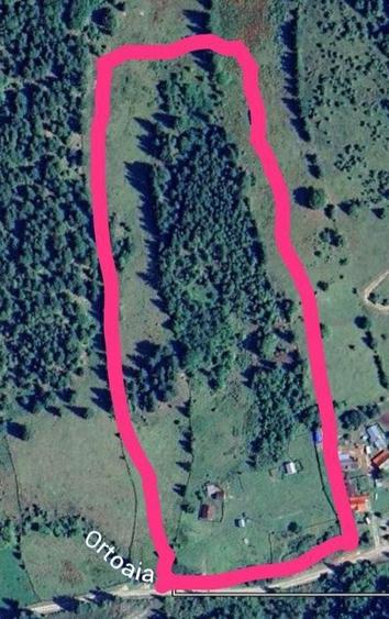 Teren de 6000 mp, în Ortoaia
