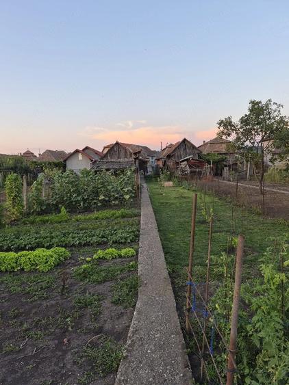 Casă cu 2 camere cu Teren 600 Mp în Central