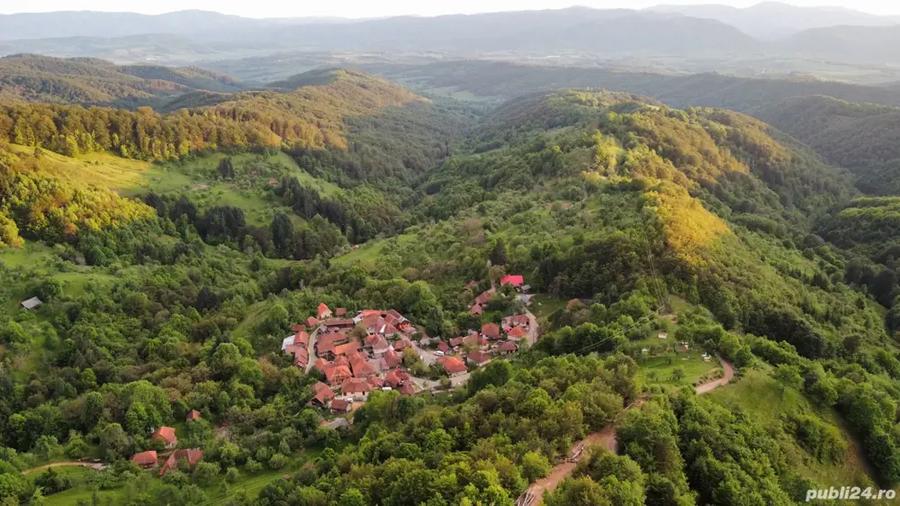 Teren de 2000 mp, în Brusturi