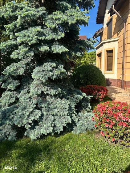 Casă cu 4 camere cu Teren 619 Mp în Trivale