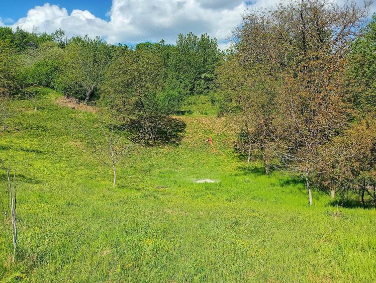 Casă cu Teren 11300 Mp în Dumbrăvița