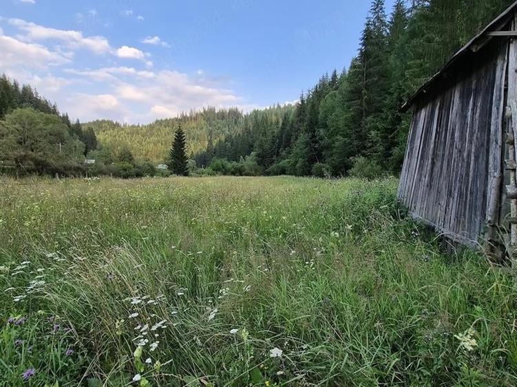 Teren agricol intravilan de 7400 mp, în Colacu