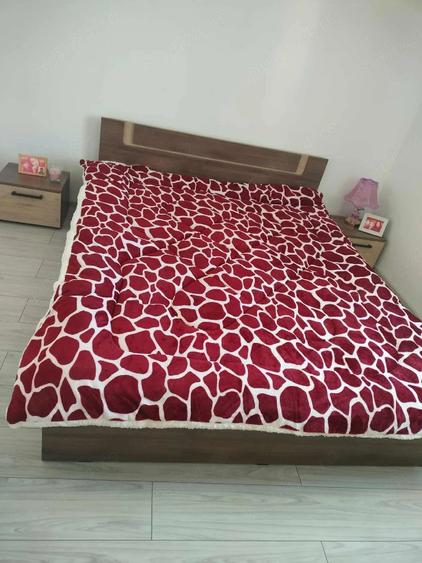 Casă cu 3 camere cu Teren 2700 Mp în Salcia