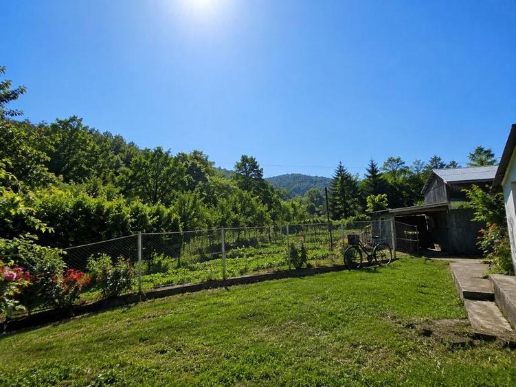 Casă cu 3 camere în Ferestrău-Oituz