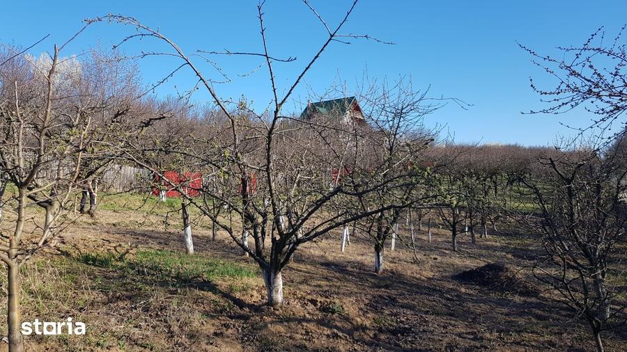 Teren de 2525 mp, în Bârnova