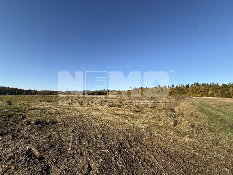 Teren agricol intravilan de 2900 mp, în Horodnic de Sus
