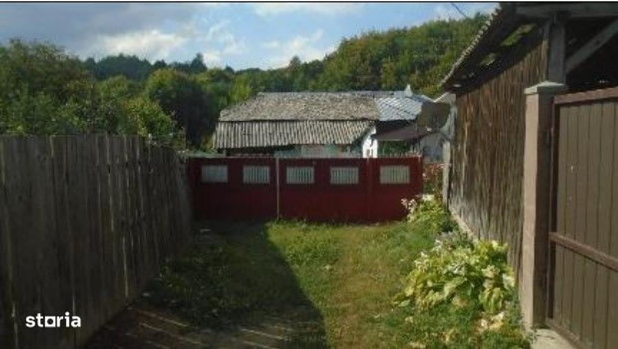 Casă cu 3 camere în Viișoara