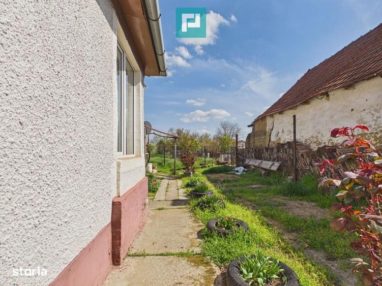 Casă cu 3 camere în Central