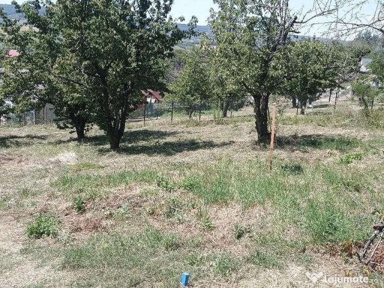 Teren de 1420 mp, în Chicerea
