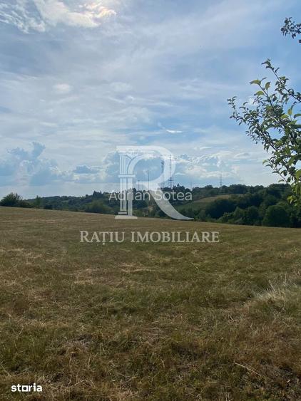 Teren Intravilan | 17.500 mp | S?inteu | Bihor
