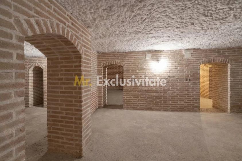 Casă cu 8 camere cu Teren 1229 Mp în Ștefănești