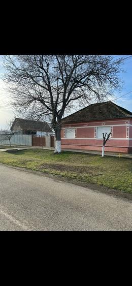 Casă cu 4 camere cu Teren 2880 Mp în Central