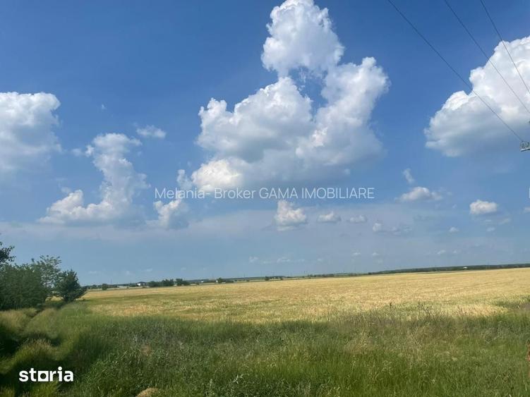 Vanzare teren intravilan Cernica_Tanganu, lot 954mp