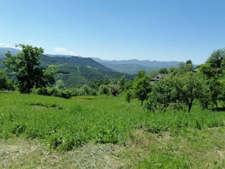 Casă cu 3 camere în Vâlcani