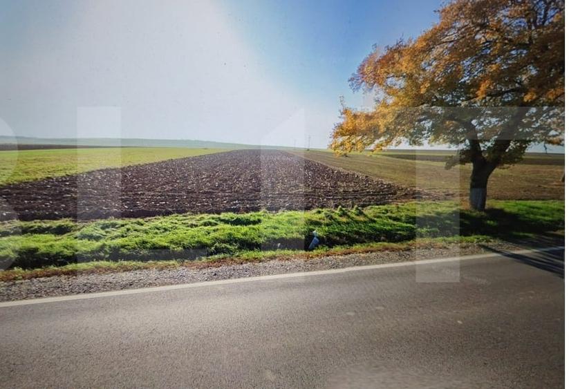 Teren agricol extravilan de 20300 mp, în Brăești
