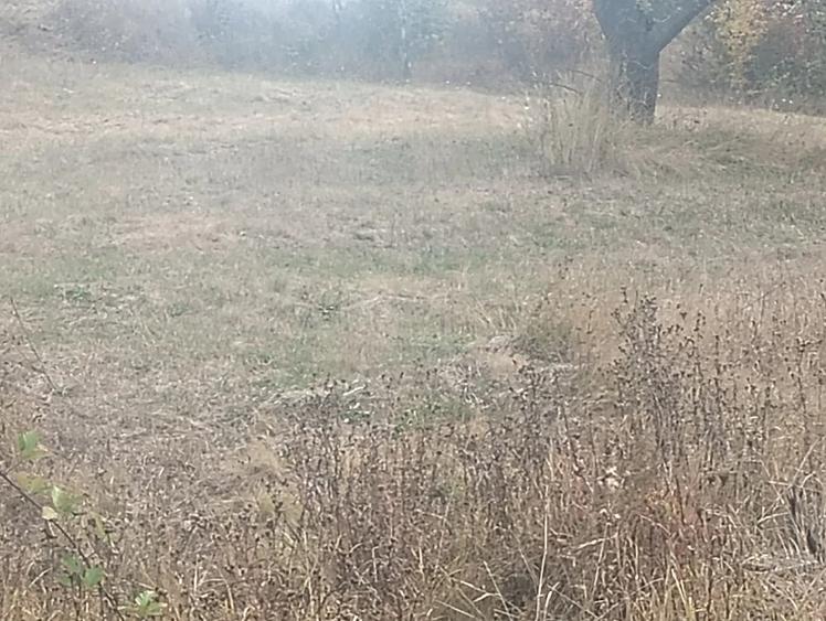 Teren de 5000 mp, în Baia