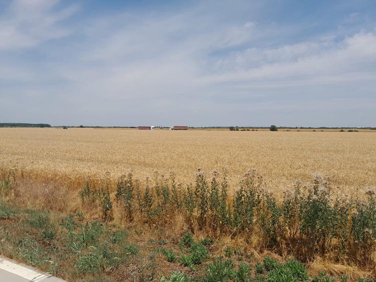 Teren Construcții intravilan de 20000 mp, în Joița