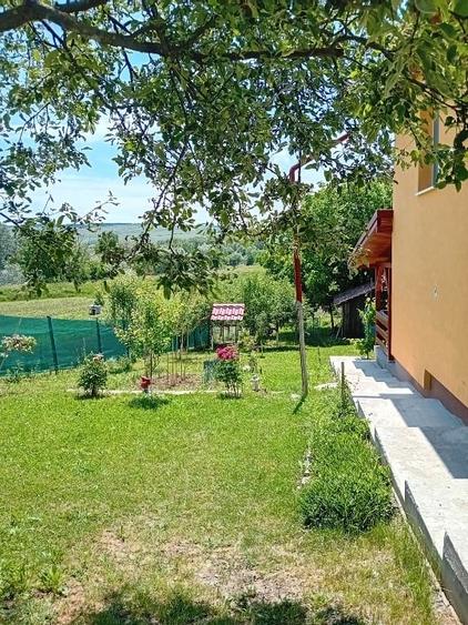 Casă individuală cu 4 camere cu Teren 1997 Mp în Mica