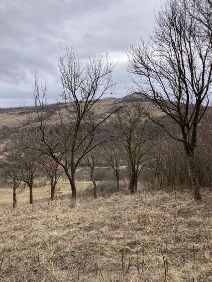 Teren Ampoita 1053 mp (2 parcele alipite 360 si 693 mp) - 7