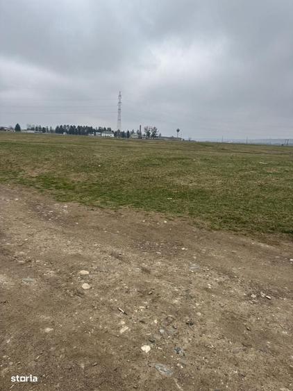Spațiu comercial, în Lilieci
