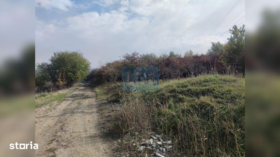 Teren de 2000 mp, în Făget