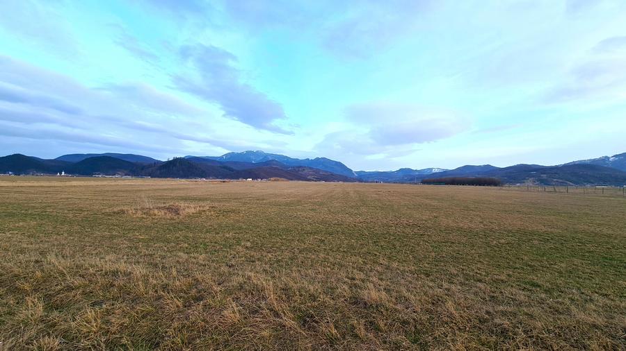 Teren extravilan de 5000 mp, în Pănicel