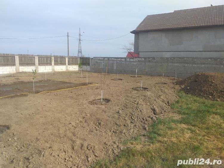 Spațiu comercial, în Lumina