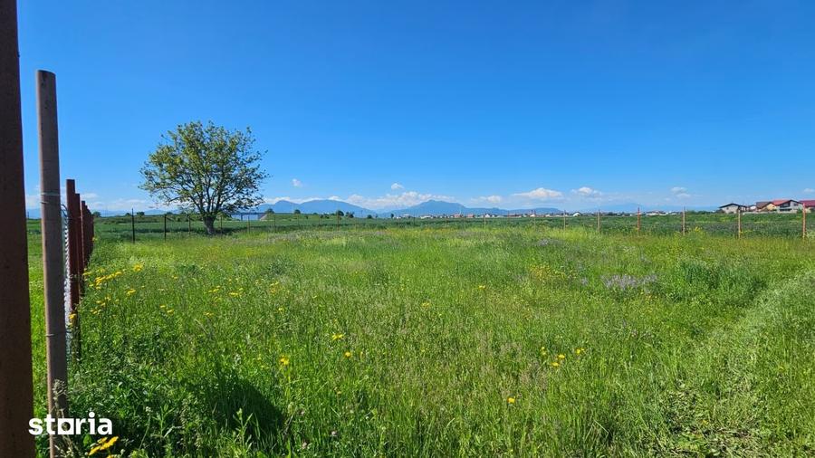 Teren de 1062 mp, în Hărman