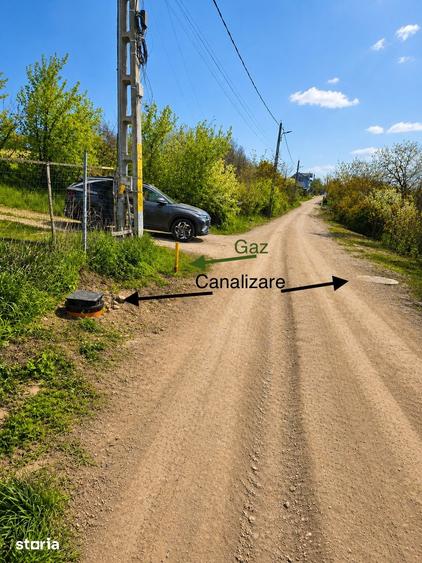 Teren de 1000 mp, în Aroneanu