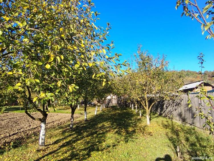 Casă cu 4 camere cu Teren 1500 Mp în Purcăreni (Micești)