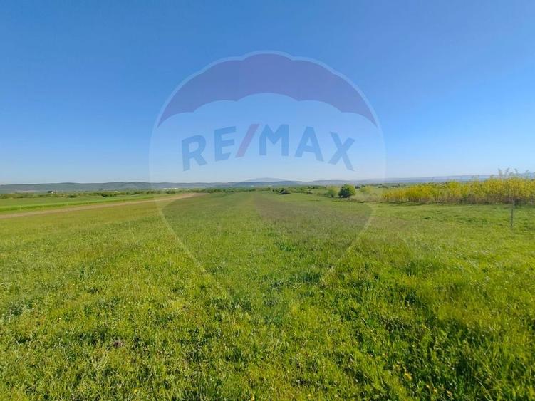 Teren agricol extravilan de 1668 mp, în Gura Râului