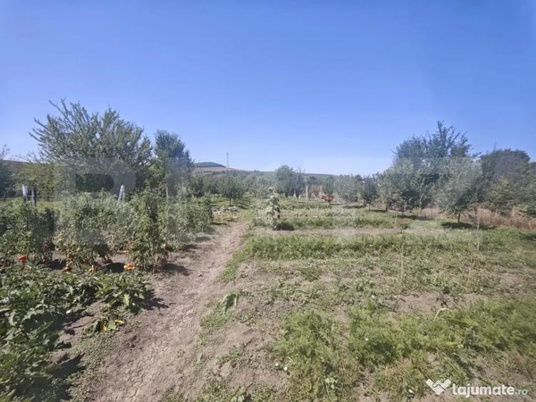 Casă cu 3 camere cu Teren 1356 Mp în Central