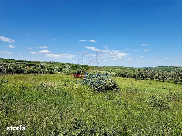 Teren de 800 mp, în Goruni