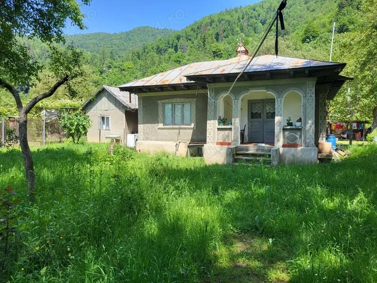 Casă cu 3 camere cu Teren 1525 Mp în Tarcău